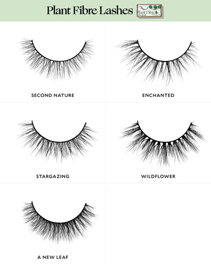 Monolid Eye Shape Set