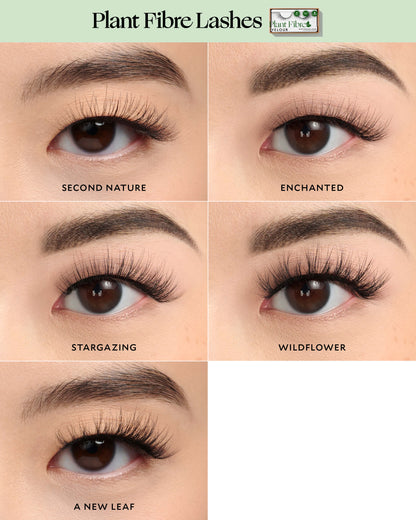 Monolid Eye Shape Set