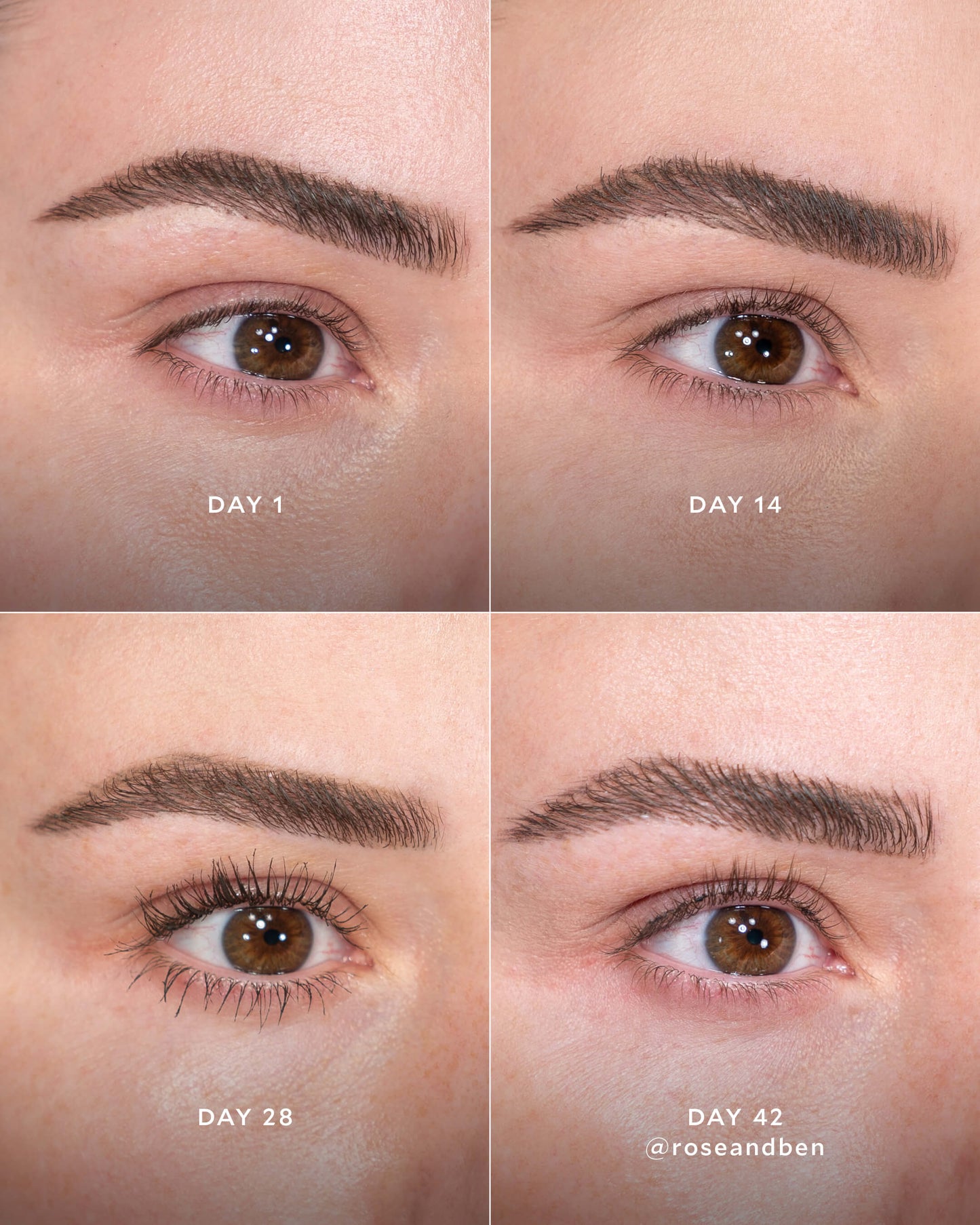 Pretty Big Deal Peptide & Tubing Mascara
