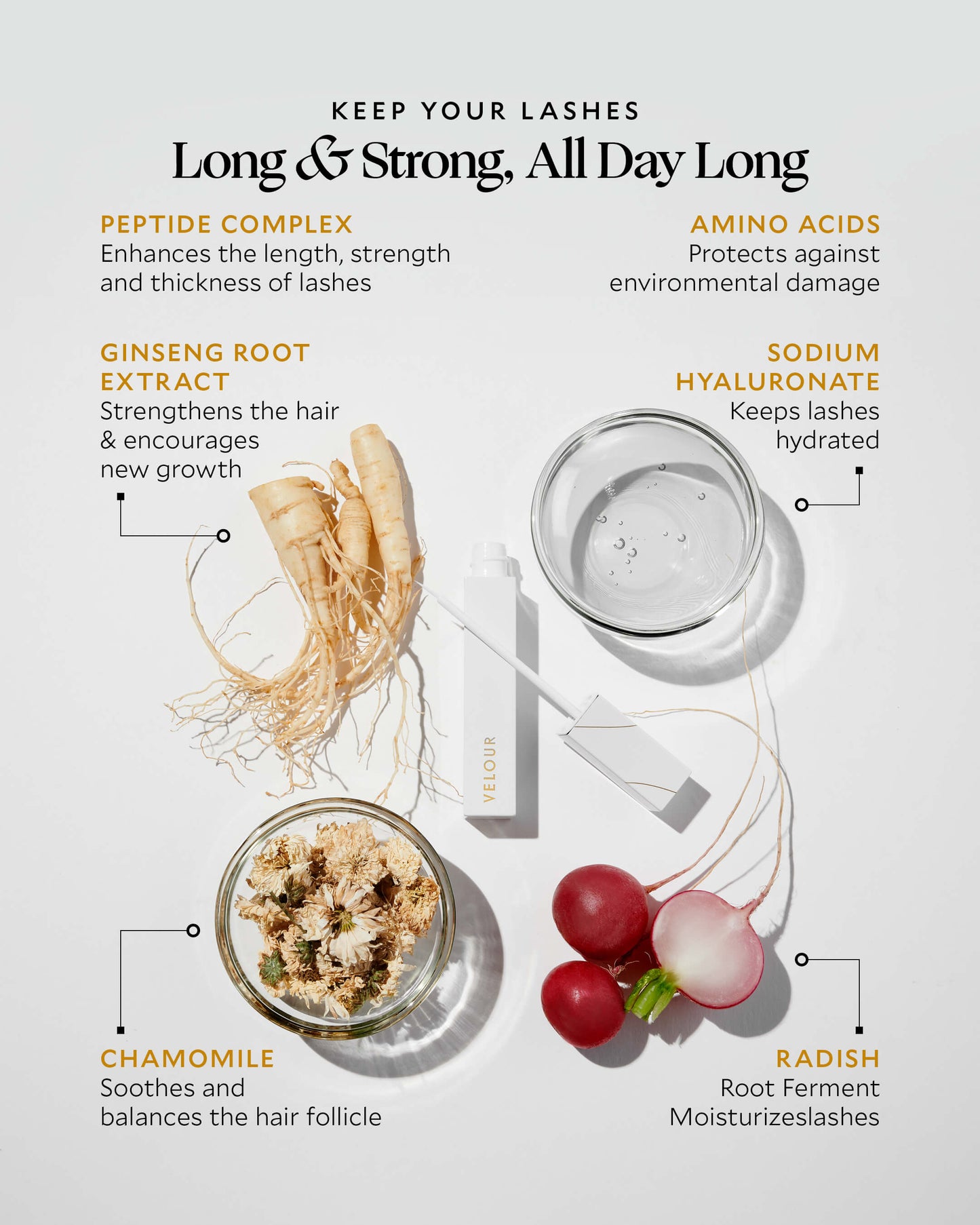 Peptide Lash Serum