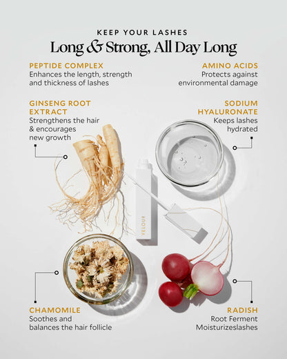 Peptide Lash Serum